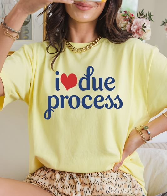 I Love Due Process DTF Transfer